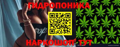 ALPHA PVP Уссурийск
