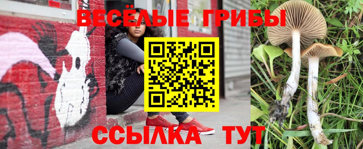 Галлюциногенные грибы мухоморы Людиново